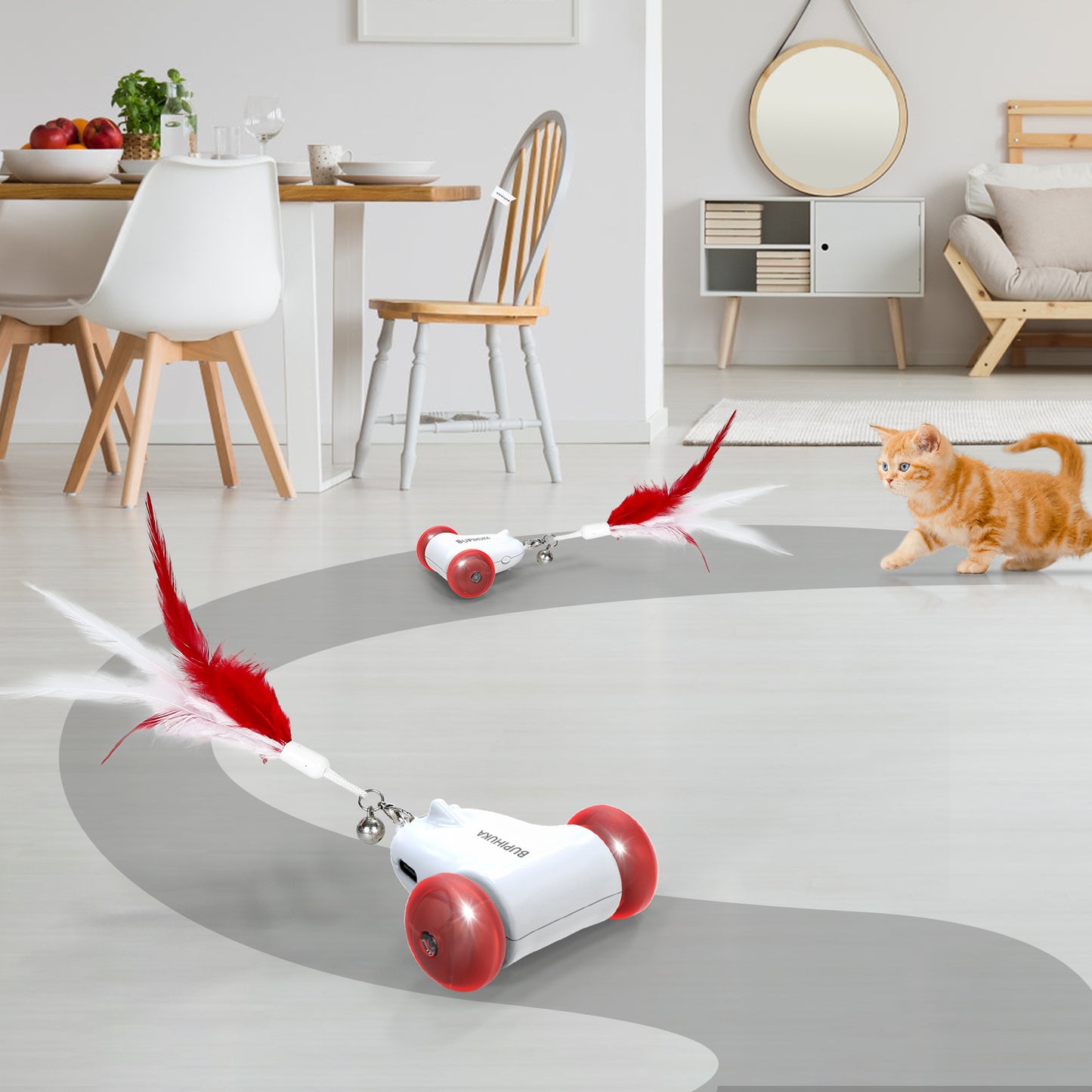 BUPIHUKA Racing Chase Cat Toy